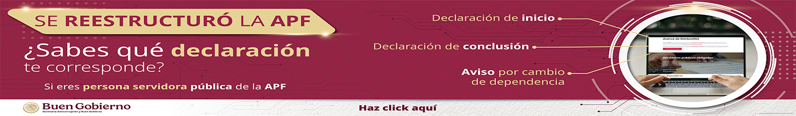 banner declaración